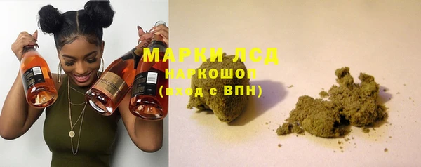 первитин Богданович