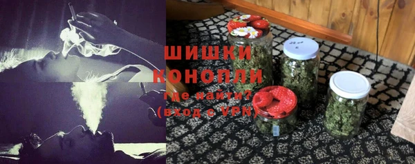 mdpv Богородск
