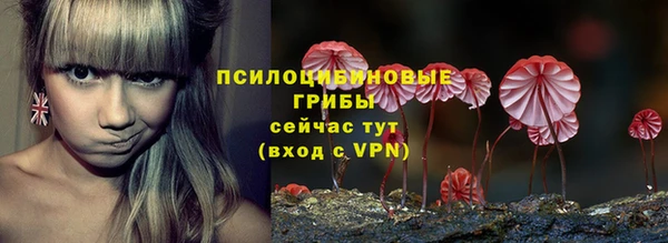 mdpv Богородск