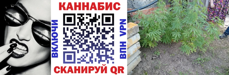 Бошки марихуана планчик Мценск